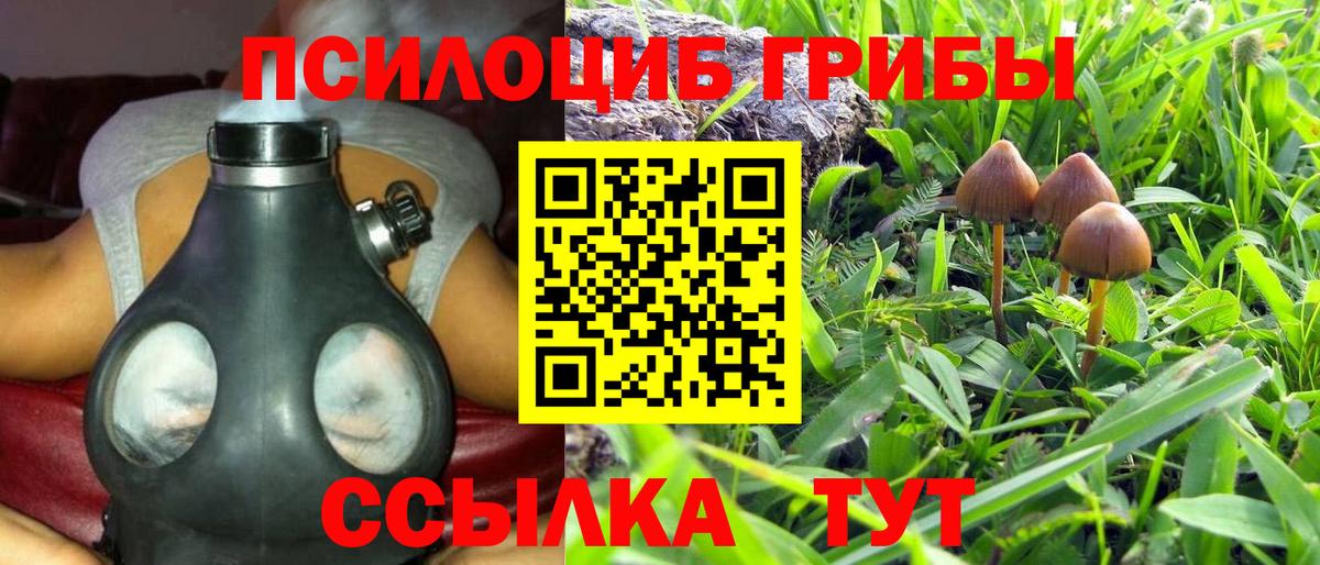 Псилоцибиновые грибы Psilocybine cubensis  Вход с VPN  Углич 